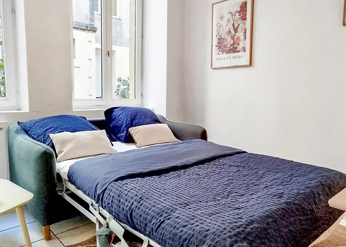 Le Petit St-dizier Iii - Calme & Lumineux Apartment